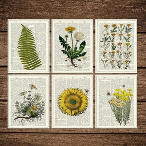 Bloemen ansichtkaarten Set - Wenskaart - Cadeau voor haar - Gele bloemen Ansichtkaarten - Set van 6 - Bloemen Bedankkaart - Ansichtkaarten - PSC007