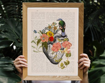 May include: A vintage anatomical heart illustration with colorful flowers and a blue bird on a page of an old book. The heart is surrounded by pink, yellow, and white flowers. The bird is perched on the top of the heart.
