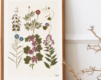 Botanical Print: Pressed Wildflowers on Upcycled Book Page