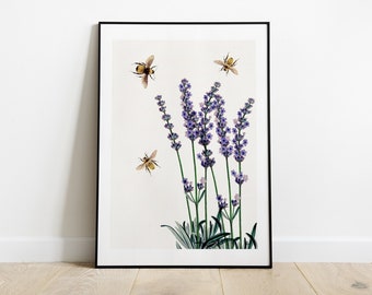 Bees and Lavender Art Print: Floral Botanical Illustration