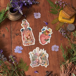 Conjunto de 3 adesivos - presentes para melhores amigos - Anatomia das flores - Adesivo feminista para laptop - Pacote de adesivos - Conjunto de adesivos rosa
