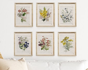 Floral Bouquets Botanical Print Set of 6, Gallery Wall Decor, Botanical Floral Art,  Wildflowers Matching Prints