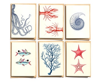 Sealife notecards set - Sea life Cards - Set of 6 - Beach and sea Greeting Cards - Folded Cards - note cards  - NTC019