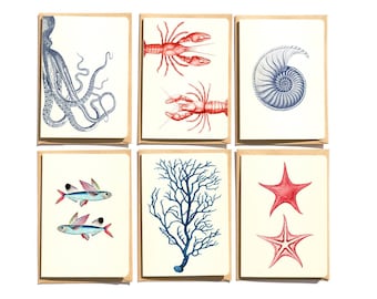 Sealife Notecard Set: Beach Greeting Cards, Set of 6