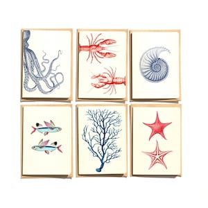 Set di biglietti Sealife - Biglietti Sea life - Set di 6 - Biglietti di auguri spiaggia e mare - Biglietti piegati - biglietti - NTC019