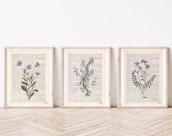 Botanical Prints set - Blue Flowers Poster Vintage Illustration - Wild Flowers Wall art instant collection