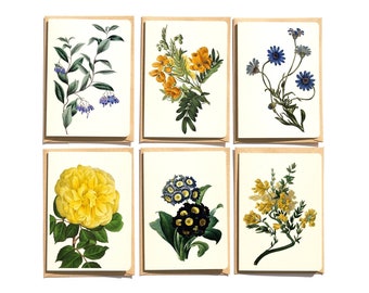 Botanical Notecards Set: Yellow & Blue Flower Greeting Cards