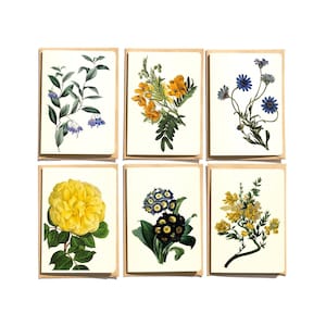 Jeu de cartes - Cartes de remerciement - Carte de voeux - Cartes fleurs jaunes et bleues - Lot de 6 - Cartes vierges - Ensembles de papeterie - NTC020