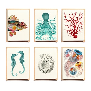 Set di biglietti di auguri - Regalo per la mamma - set di biglietti - Biglietti di auguri con tema marino - Set di 6 - Biglietti di auguri con tema marino - Biglietti piegati - biglietti di auguri rossi e blu - NTC011S