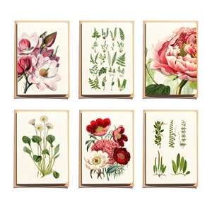 Botanical Thank You Cards Set of 6 Floral Greeting Cards Blank Note Cards Stationery Cards Folded Note Cards NTC001 image 1