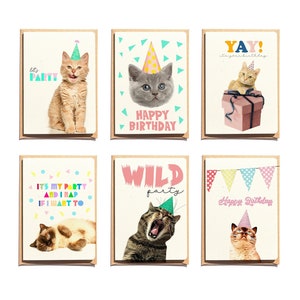 Funny Cards - Funny cats Cards - Set of 6 - Greeting Cards - Kitten Card - Cats Cards - Birthday Cards - Funny Animal Card - NTC016WA6