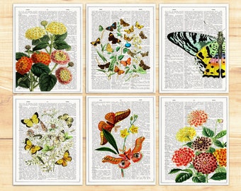 Thank You Cards - Butterflies and  flowers Postcards - Set of 6 - Floral Greeting Cards - Botanical Stationery - PSC009