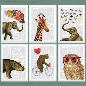 Funny  card set - Animal Postcards - Set of 6 - Animal Greeting Cards - Postcards - Elephant Card - Owl Cards - PSC001