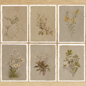 ボタニカルスケッチポストカード：フレンチグレーフローラルアート、6枚セット