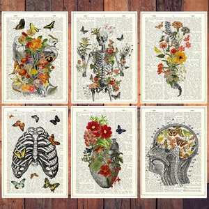 Butterflies Gift - Doctors gift set - Moths and  Butterflies Anatomical  Gift ideas - Anatomical Postcards Set - Flower Anatomy - PSC020