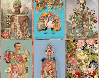 Anatomy Postcard Set: Floral Skeleton Art Prints, Unique Medical Gift