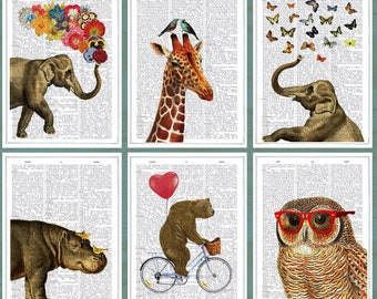 Funny Animal Postcard Set: Elephant, Owl, Bear - Set of 6