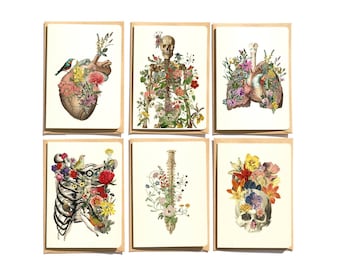 Anatomy & Flowers Notecards Set: Unique Greeting Cards (Set of 6)