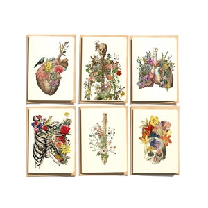 Notecards Set - Anatomy and flowers, Notecards set of six, Blank note cards set, Greeting cards set, set of 6, Blank Note Cards, NTC009