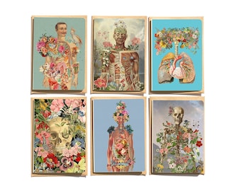 Anatomical Notecards Set: Skeleton & Floral Art, Medical Gift