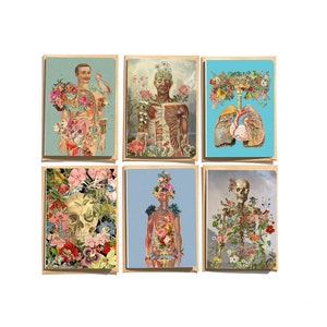 Ensemble de cartes - coffret cadeau étudiant en médecine - cartes anatomiques - art unique de l'anatomie humaine - fleurs squelette - NTC017