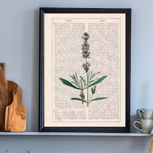 Lavender Flower Book Print: Upcycled Vintage Dictionary Art