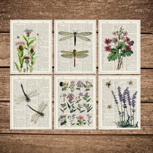 Floral Postcards set Bees and Lilac flowers Postcards Postcard Save the bees Cards Floral Greeting Card PSC008 image 1