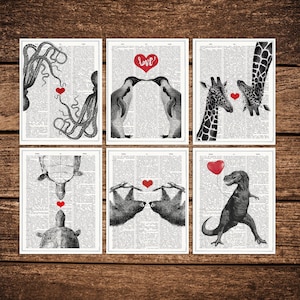 Lustiges Grußkarten Set - Liebe Tiere Postkarten - 6er Set - Tierkarten - Lustige Tiere Postkarten - Faultiere Postkarten - PSC004