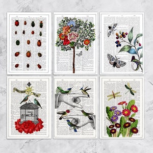 cadeau pour elle - Cartes de remerciement - Cartes postales oiseaux et fleurs - Lot de 6 - Cartes postales botaniques - PSC019