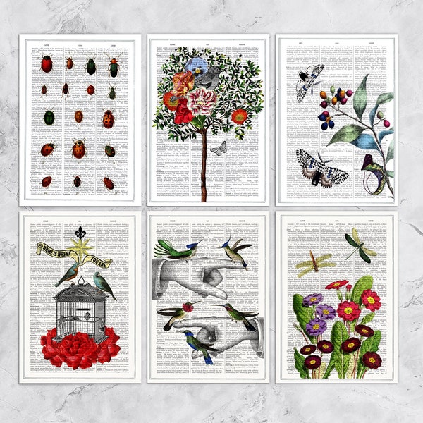 gift for her - Thank You Cards - Birds and flowers Postcards - Set of 6 - Postcards Botanical - PSC019