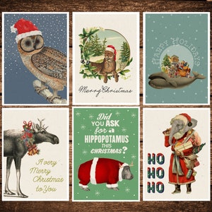Lustiges Tiere Karten-Set - 6er Set - Tierkarten - Lustige Tiere Postkarten - Grußkarten-Set - Weihnachtsgeschenkkarten - PSC017WA6