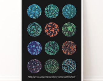 Bacteria Collection Art Print: Microbiology Science Decor