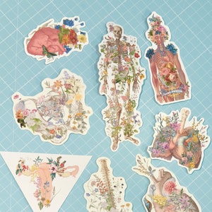 Stickers fleurs transparents Stickers anatomie transparents et dans des tons doux Sticker coeur anatomie florale Sticker pour ordinateur portable Stickers MacBook STC027 image 2