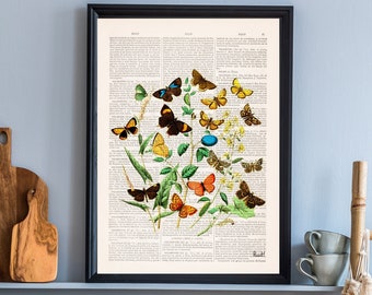 Flower print - Wall decor - home gift - Wild Flowers and butterflies Art print - Wall decor butterflies and flowers - prints - BFL035