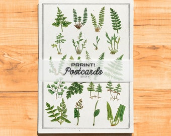 Botanische Wildblumen Postkarten Set: A6 Flower Art Cards