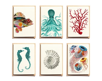 Notecards Set - Gift for mom - card set - Sea life Cards - Set of 6 - Sea Greeting Cards - Folded Cards - red and blue note cards  - NTC011S