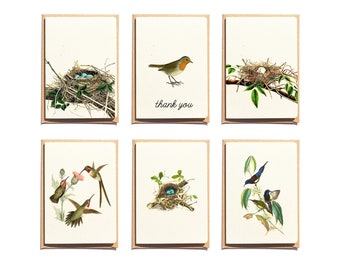 Birds and Nests Notecards Set: Blank Greeting Cards with Envelopes
