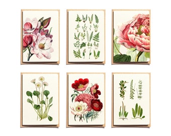 Botanical Note Cards: Floral Thank You Cards, Set of 6