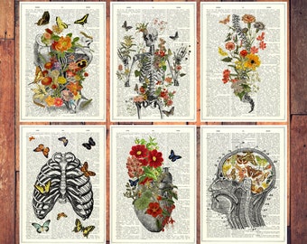 Butterflies Gift - Doctors gift set - Moths and  Butterflies Anatomical  Gift ideas - Anatomical Postcards Set - Flower Anatomy - PSC020