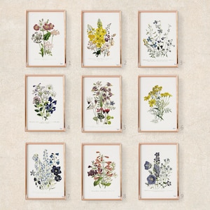 Wild flowers Botanical Print Set of 9, Vintage Farmhouse Gallery Wall Decor, Botanical Floral Art,  Wildflowers Art Prints