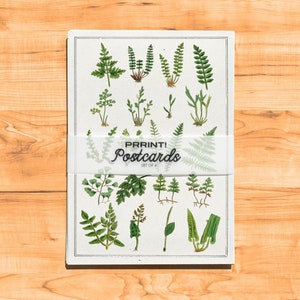 Lot de 6 cartes postales botaniques - cartes de remerciement - fleurs sauvages botaniques - cartes d'art floral A6 - PSC010