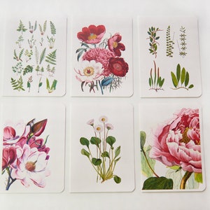 Botanical Thank You Cards Set of 6 Floral Greeting Cards Blank Note Cards Stationery Cards Folded Note Cards NTC001 image 2