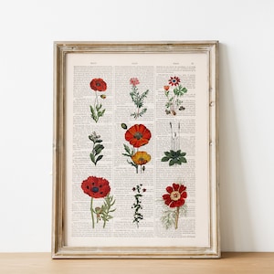 Red wild Flowers, Neutral wall decorations. Housewarming Gift, Poppy Wall Art, Dictionary Print, Book Page Art,  BFL28