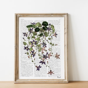 Gift for the home - Lilac Bells wild flowers on Vintage Dictionary page - wild Flower Wall Art - Flower Book Print - Wall decor - BFL250