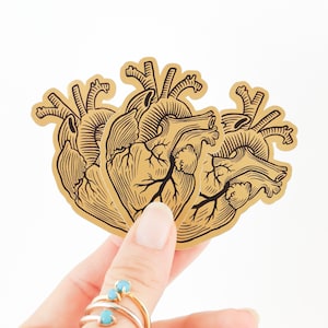 Ahorros de regreso a la escuela - Regalo romántico - Pegatinas de corazón humano - Pegatinas de oro - Pegatinas de amor - pegatinas médicas - STC031