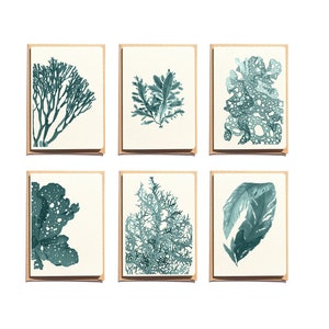 Ensemble de cartes - Cadeau pour maman - Ensemble de cartes - Cartes vie marine - Ensemble de 6 - Cartes de voeux de la mer - Cartes pliées - Cartes bleues - NTC024