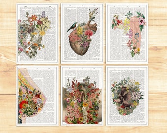 Feminist Anatomy Art Postcard Set: Floral Woman Body Prints