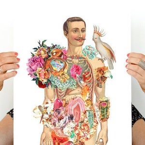 Body Study Art Print: Mr. Nature Anatomy Collage