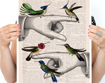 Poster print, Hummingbirds on pointing hands, Bird art, Funny animal art, Wall art poster, Wall decor, hummingbirds art, ANI111PA3