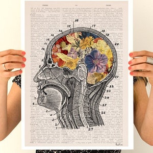 Office Wall Decor | Anatomy Wall Art | Brain Art Print | Science Art Print | Therapy Wall Print | SKA053PA3